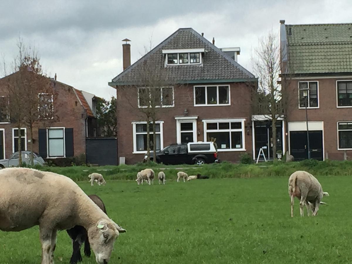 Art+bed&breakfast 's-Graveland Eksteriør billede